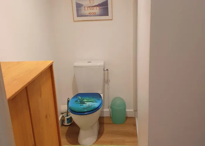 アパート Recent Tout Equipe T3 ポミシェ