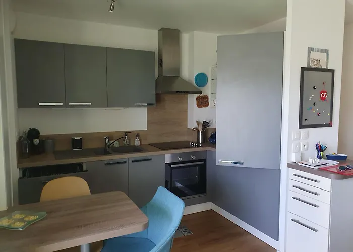 Recent Tout Equipe T3 * ポミシェ